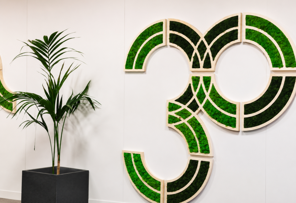3DS Groupe logo vegetal
