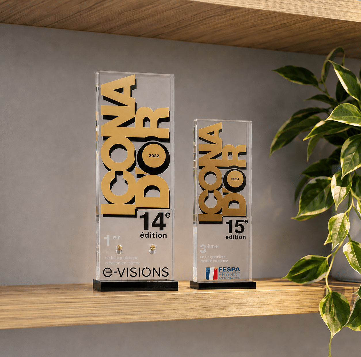 3DS Groupe Remise de prix Icona d'Or
