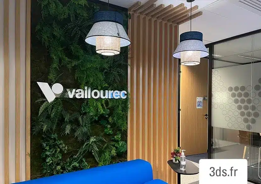 Mur vegetal logo 3DS Groupe