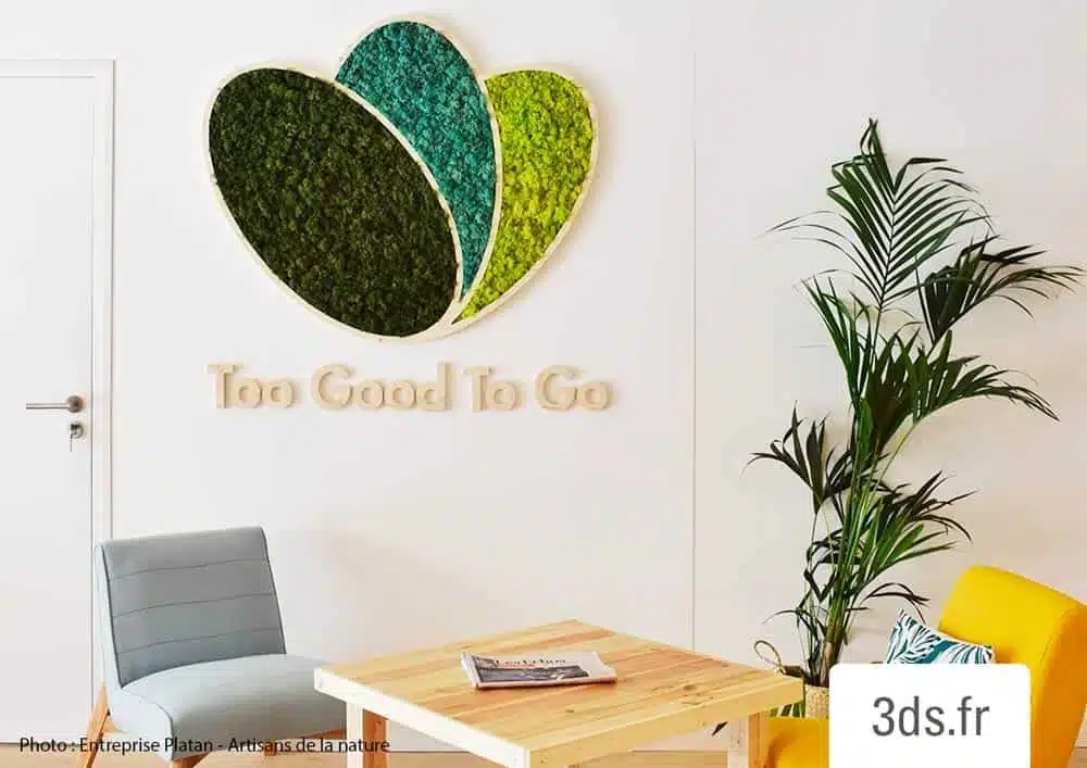 logo vegetal Too Good to Go 3DS Groupe