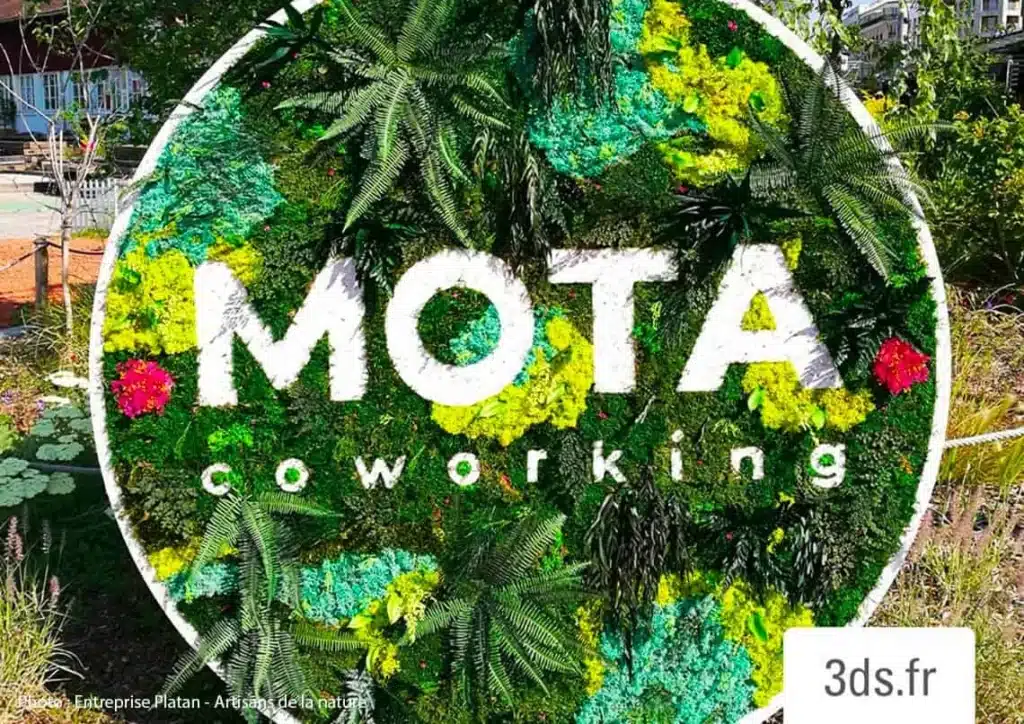 logo vegtal Mota 3DS Groupe