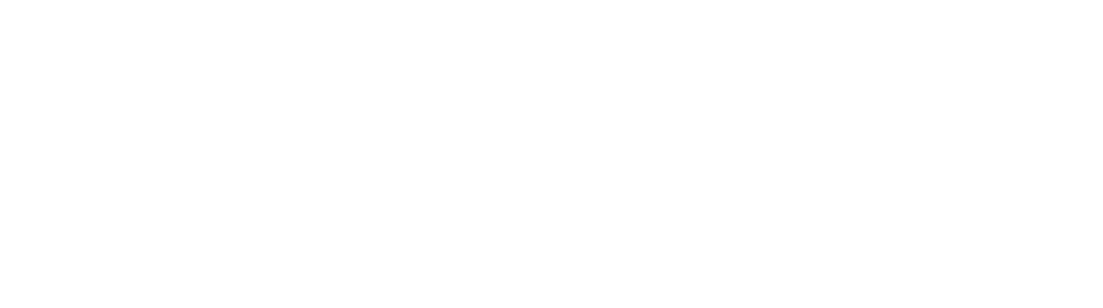 DIOR LOGO