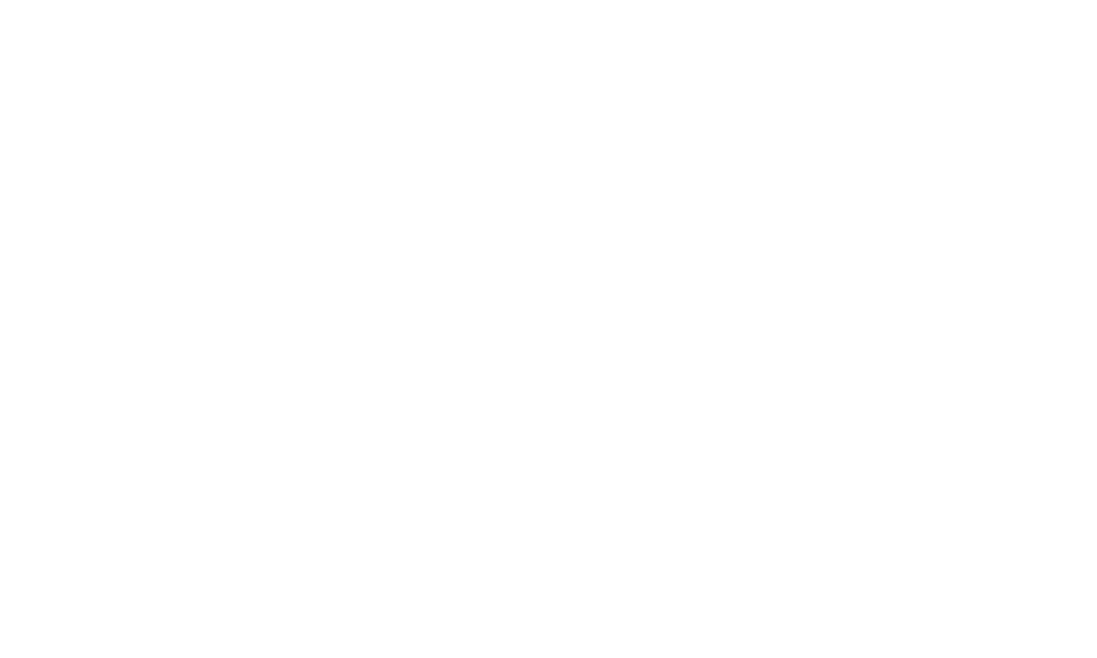 PMU LOGO