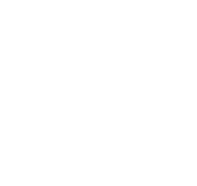 RATP LOGO