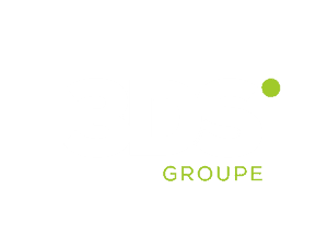 3DS Groupe