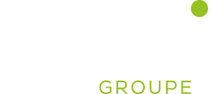 3DS Groupe Logo Blanc