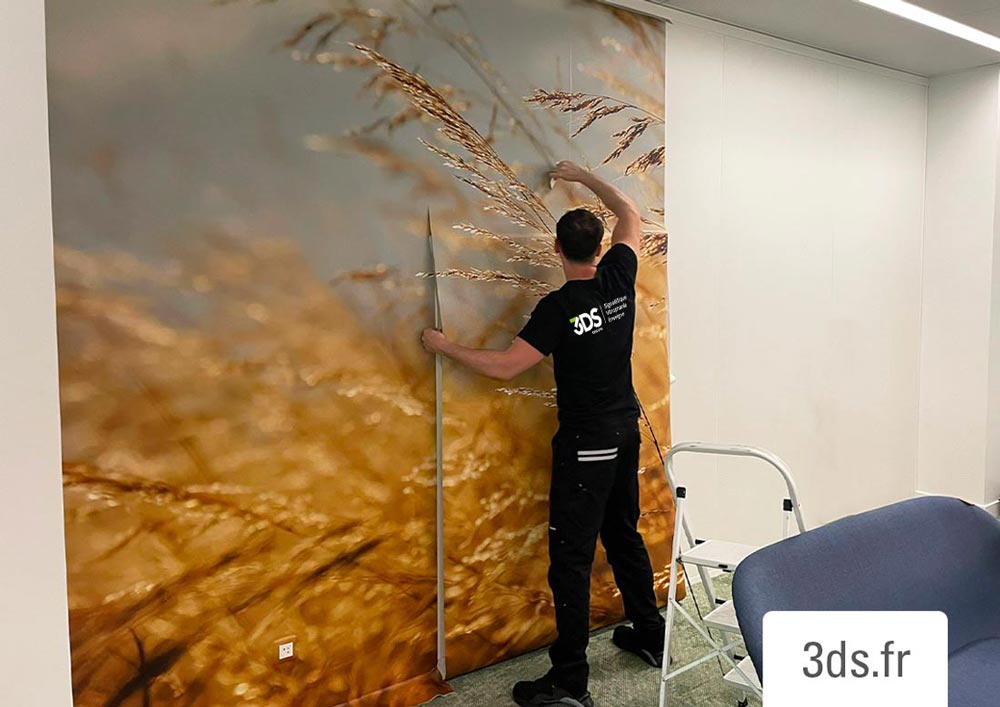 Poseur Déploiement Adhésif Visuel Edf Renouvelable 3ds Groupe
