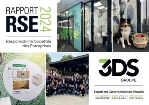 Rapport Rse 3ds Groupe
