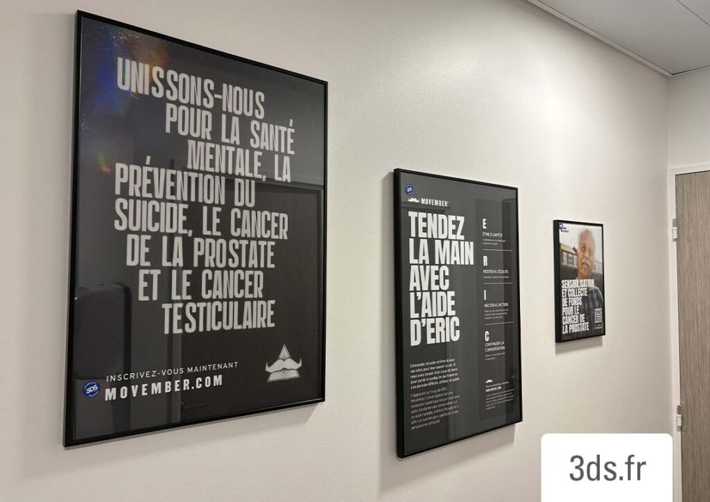 Affiche Movember 3ds Groupe