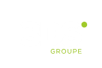 LOGO 3DS Groupe blanc