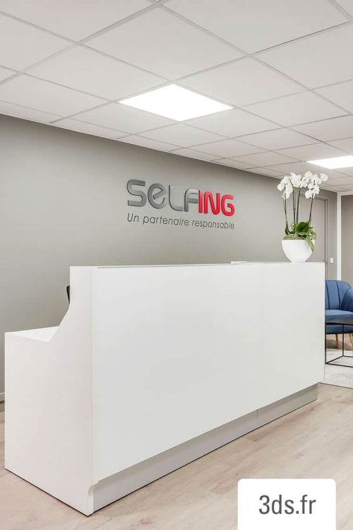 Enseigne-volume-selfing-3ds-groupe enseigne volume selfing 3ds groupe